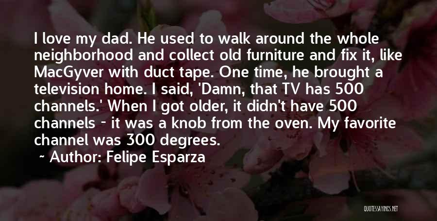 Love Fix Quotes By Felipe Esparza