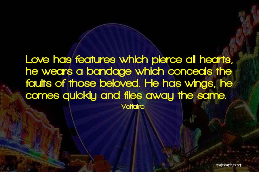 Love Flies Quotes By Voltaire