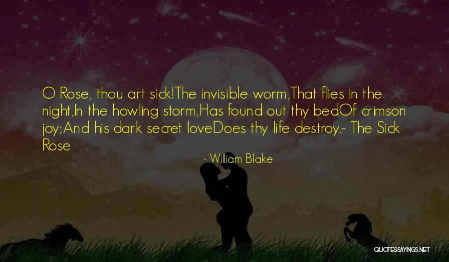 Love Flies Quotes By William Blake