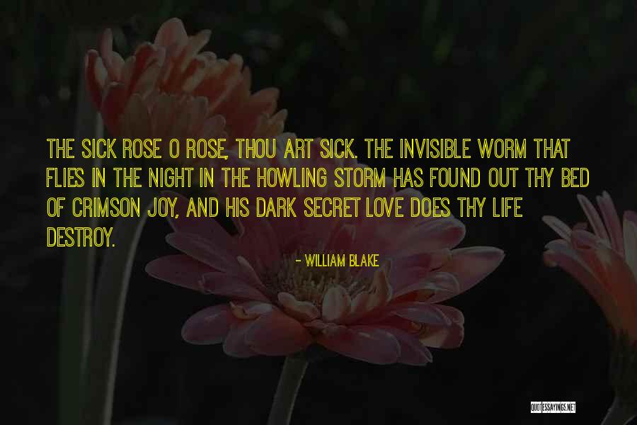 Love Flies Quotes By William Blake