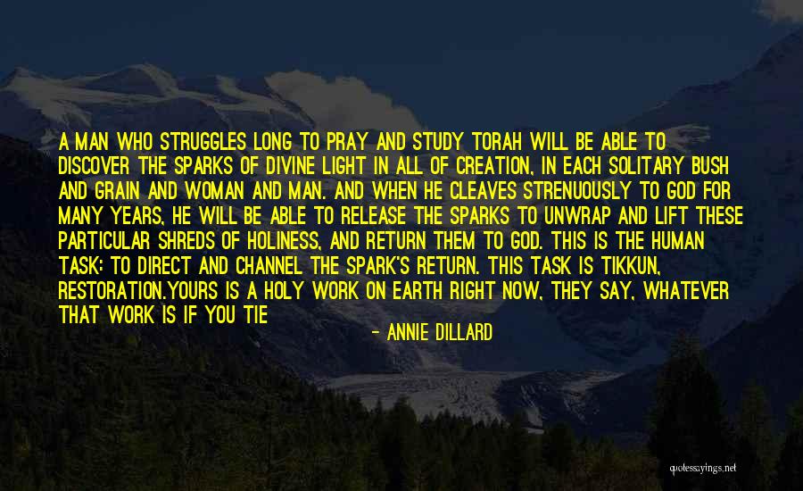Love For Divine Quotes By Annie Dillard Love For Divine Quotes By Annie Dillard