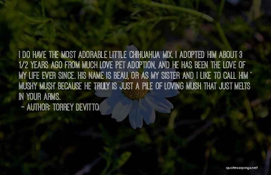 Love For Little Sister Quotes By Torrey DeVitto