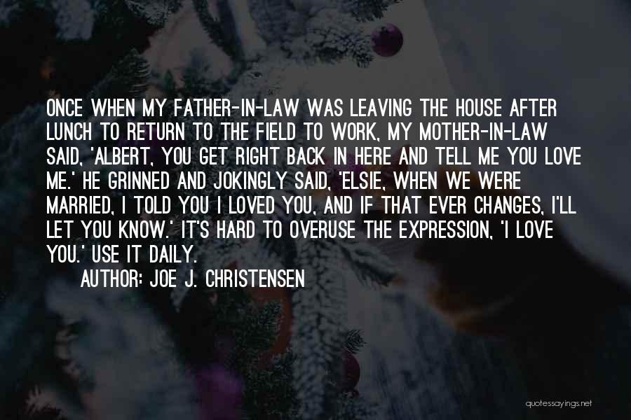 Love For Mother In Law Quotes By Joe J. Christensen