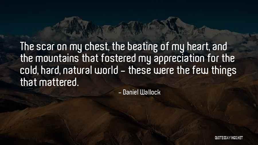 Love For Mountains Quotes By Daniel Wallock Love For Mountains Quotes By Daniel Wallock