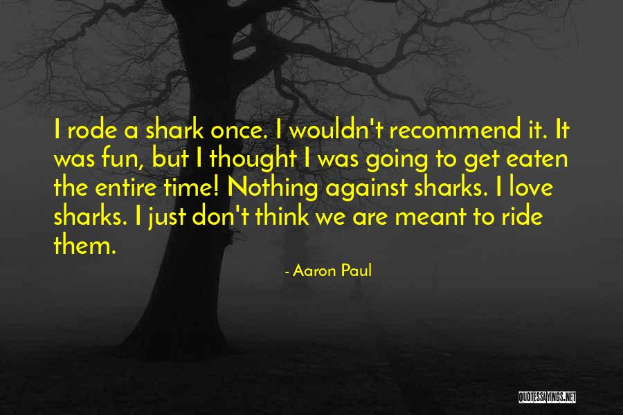Love For Shark Quotes By Aaron Paul Love For Shark Quotes By Aaron Paul