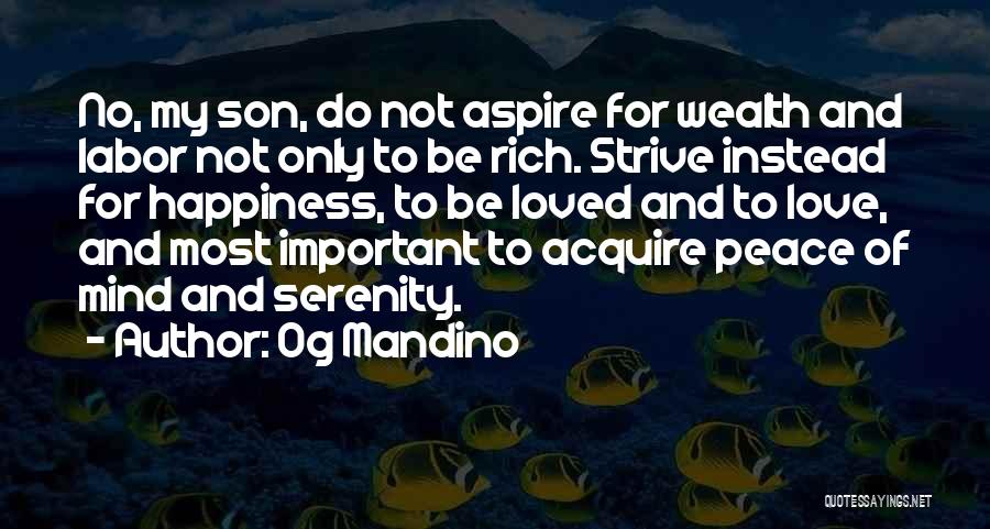 Love For Son Quotes By Og Mandino