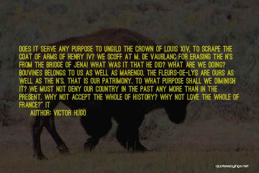 Love For The Country Quotes By Victor Hugo