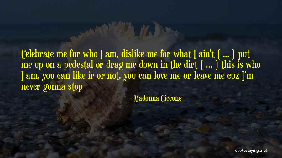 Love For Who I Am Quotes By Madonna Ciccone