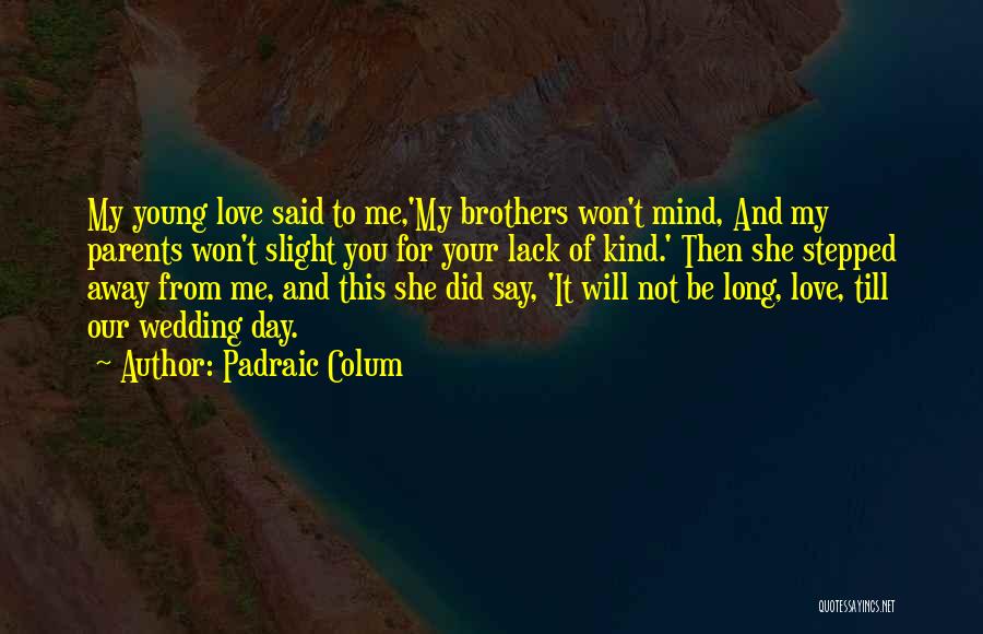 Love For Your Brother Quotes By Padraic Colum