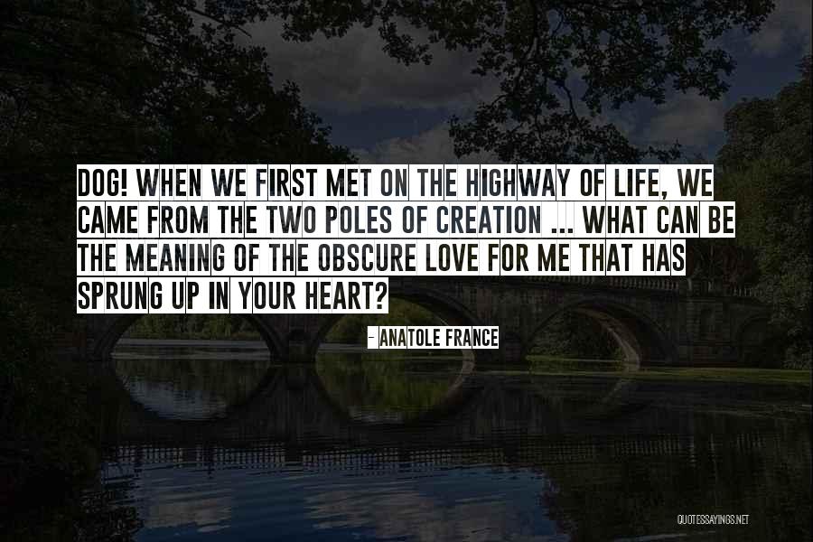 Love For Your Dog Quotes By Anatole France Love For Your Dog Quotes By Anatole France