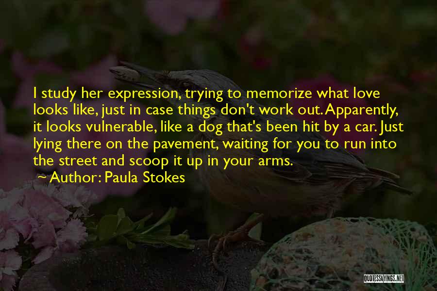Love For Your Dog Quotes By Paula Stokes