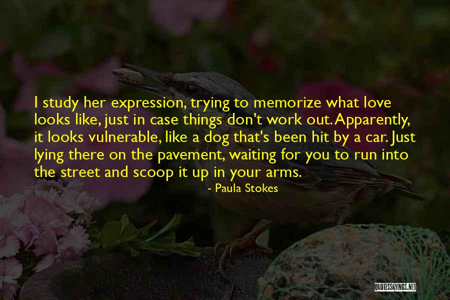 Love For Your Dog Quotes By Paula Stokes