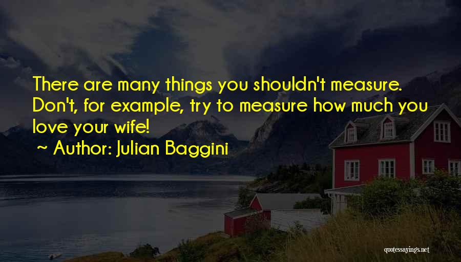 Love For Your Wife Quotes By Julian Baggini