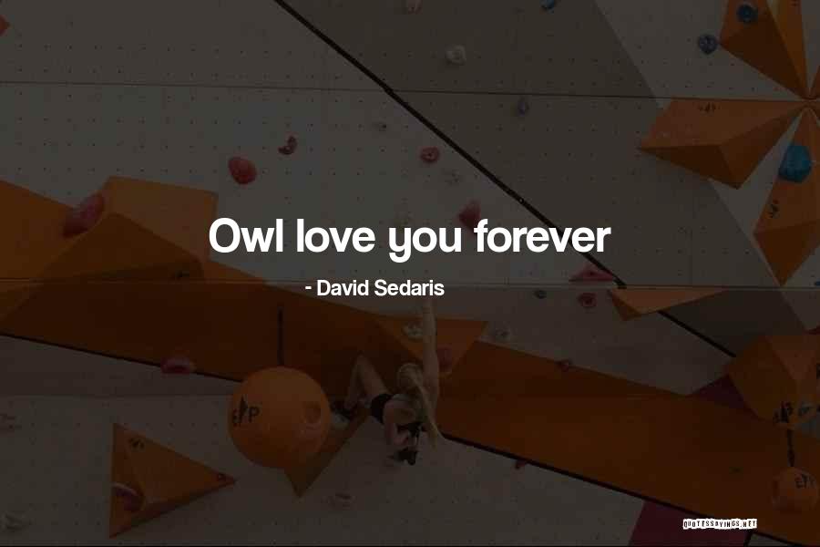 Love Forever Funny Quotes By David Sedaris Love Forever Funny Quotes By David Sedaris