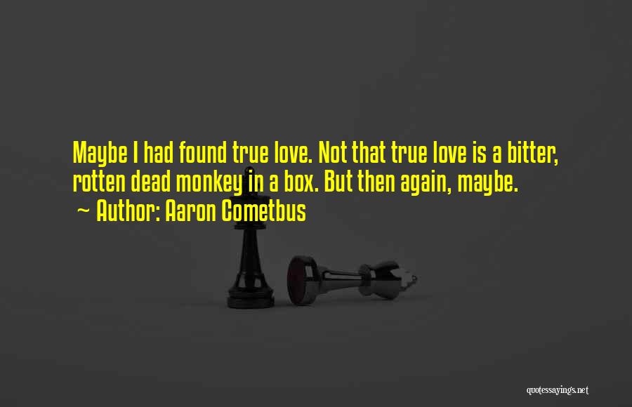 Love Found Again Quotes By Aaron Cometbus