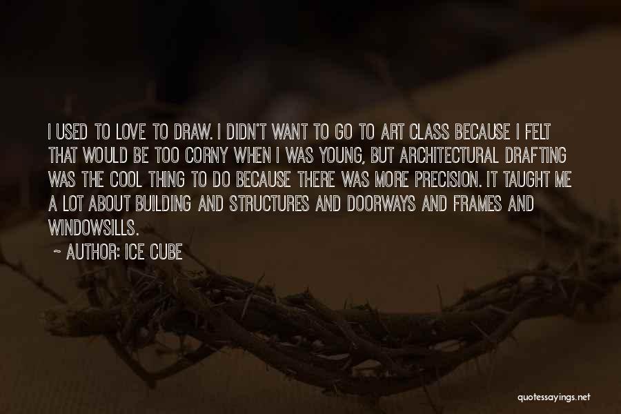 Love Frames Quotes By Ice Cube