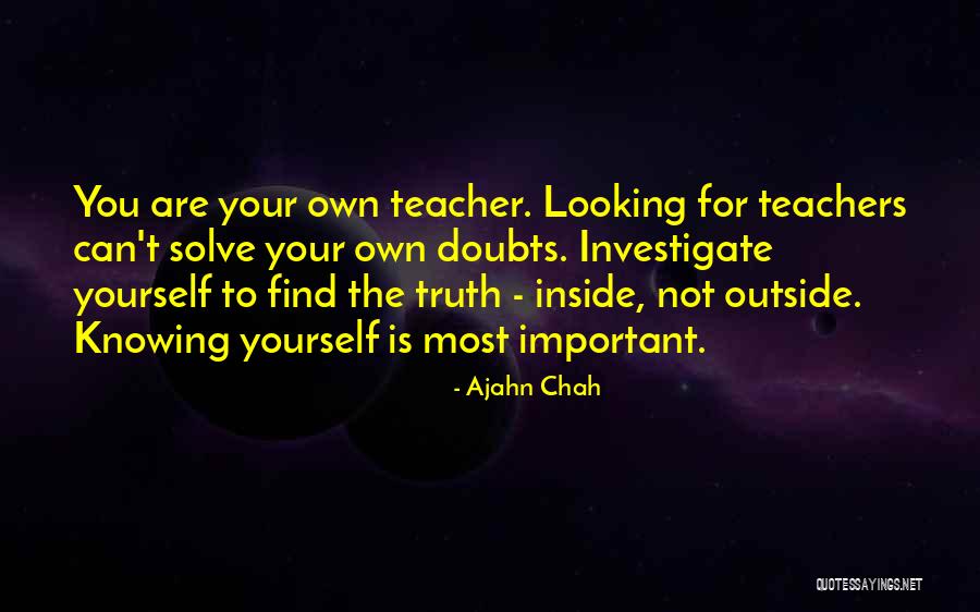 Love From Greys Anatomy Quotes By Ajahn Chah Love From Greys Anatomy Quotes By Ajahn Chah