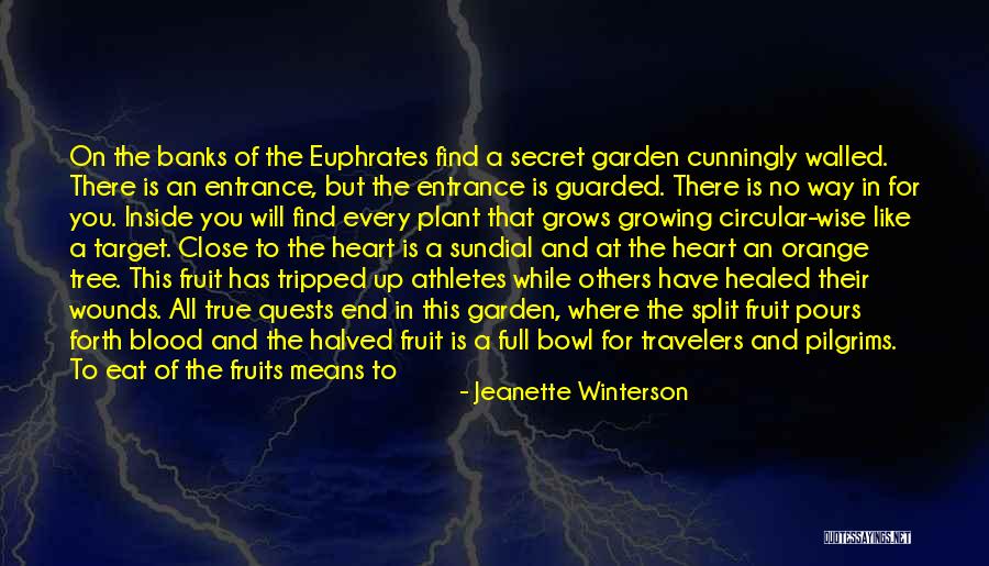 Love Fruit Tree Quotes By Jeanette Winterson
