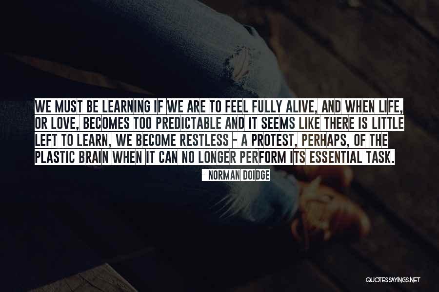 Love Fully Quotes By Norman Doidge Love Fully Quotes By Norman Doidge