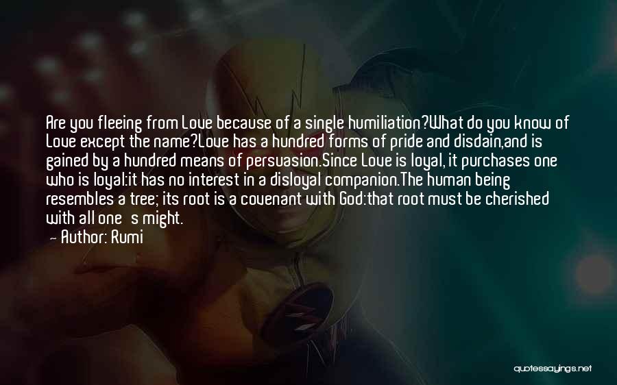 Love Gained Quotes By Rumi Love Gained Quotes By Rumi