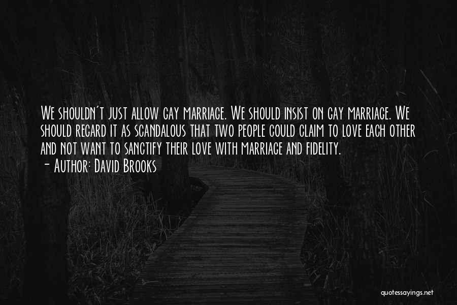 Love Gay Marriage Quotes By David Brooks