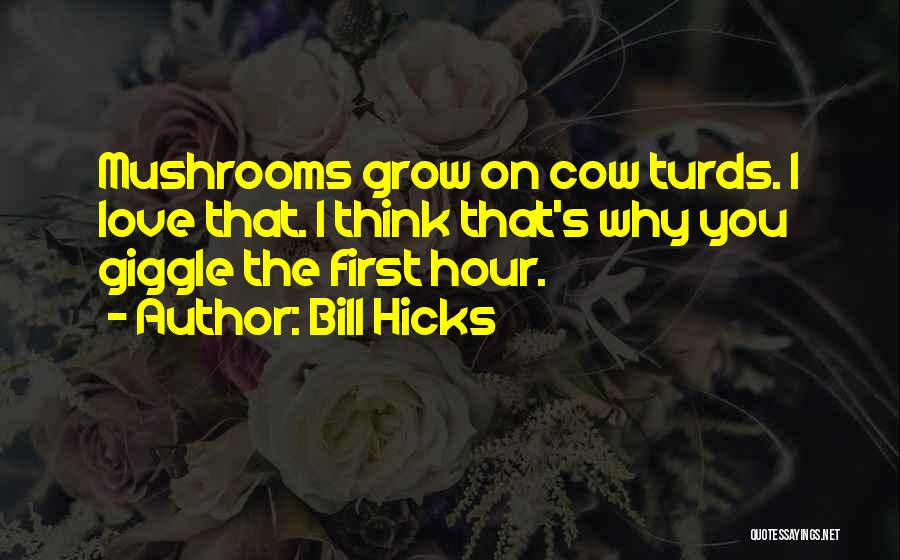 Love Giggle Quotes By Bill Hicks