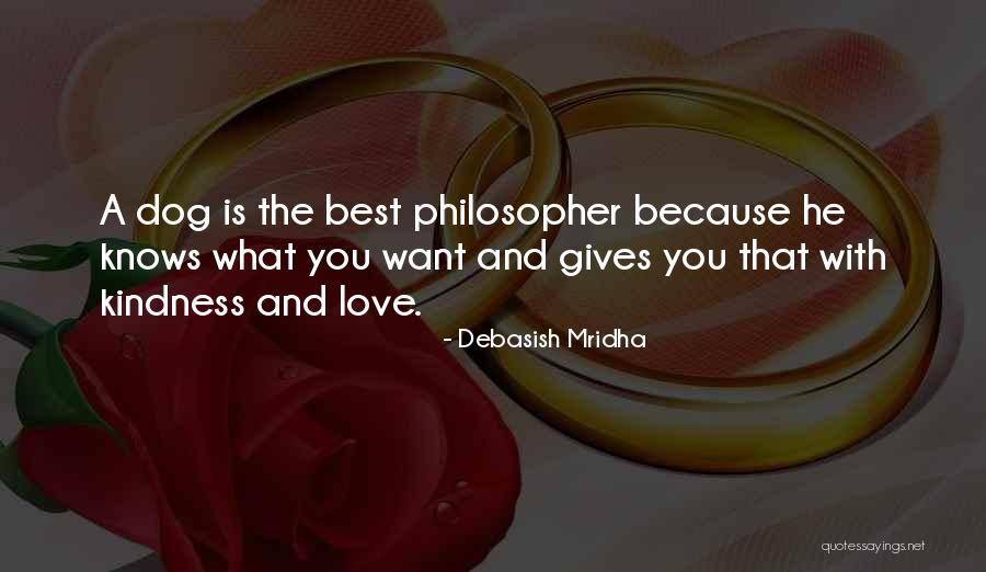 Love Gives Hope Quotes By Debasish Mridha