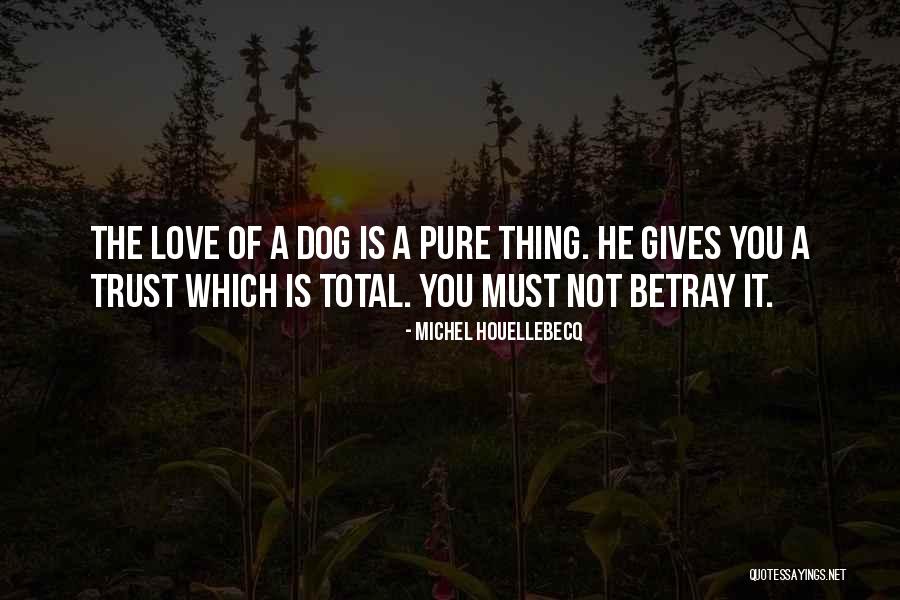 Love Gives Quotes By Michel Houellebecq Love Gives Quotes By Michel Houellebecq
