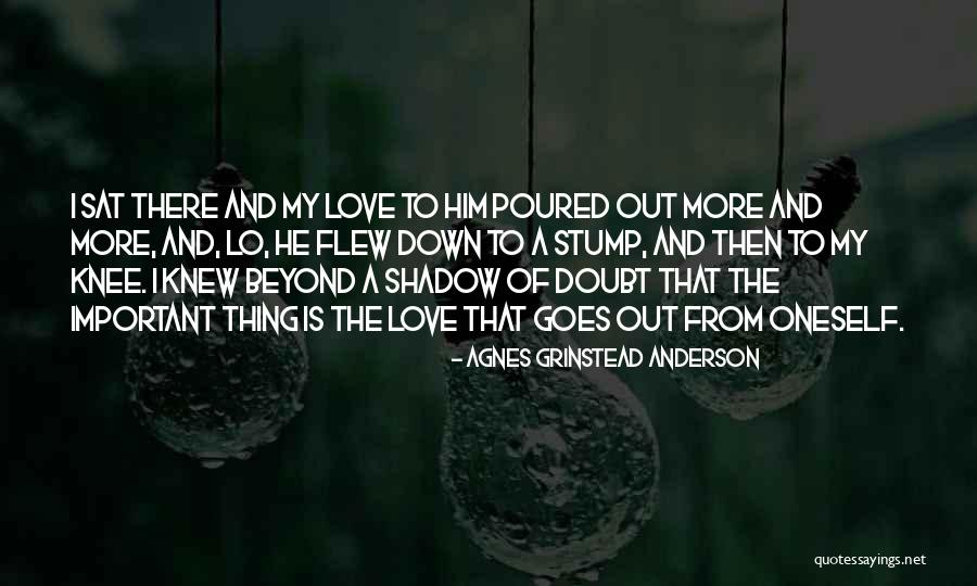 Love Goes Beyond Quotes By Agnes Grinstead Anderson