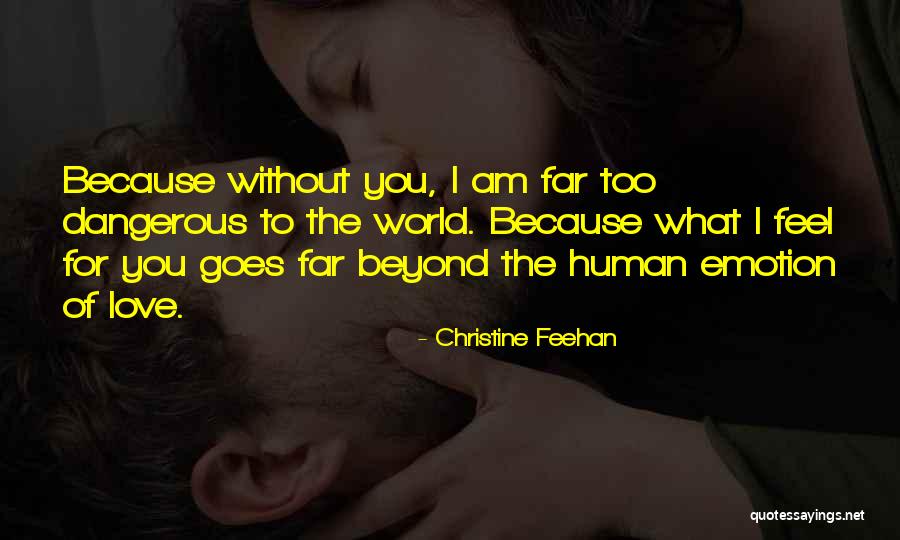 Love Goes Beyond Quotes By Christine Feehan