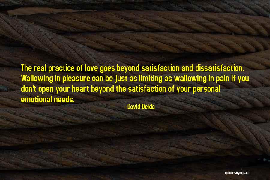 Love Goes Beyond Quotes By David Deida