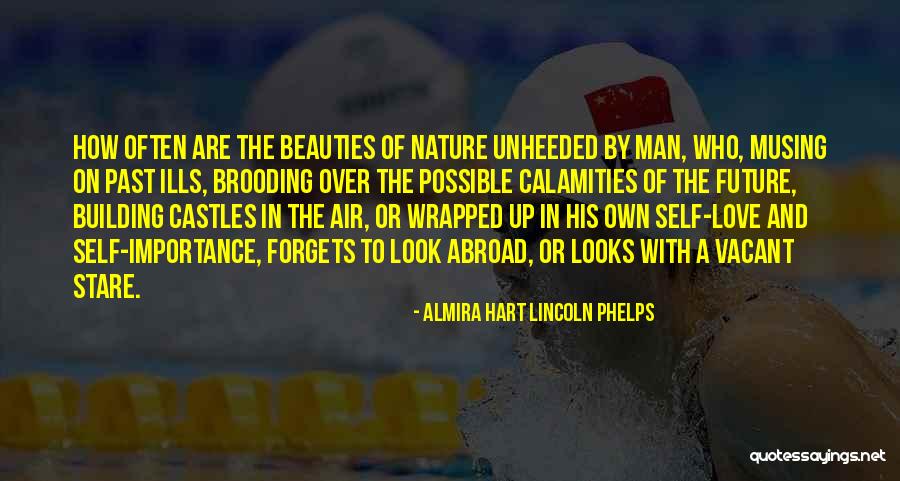 Love Going Abroad Quotes By Almira Hart Lincoln Phelps