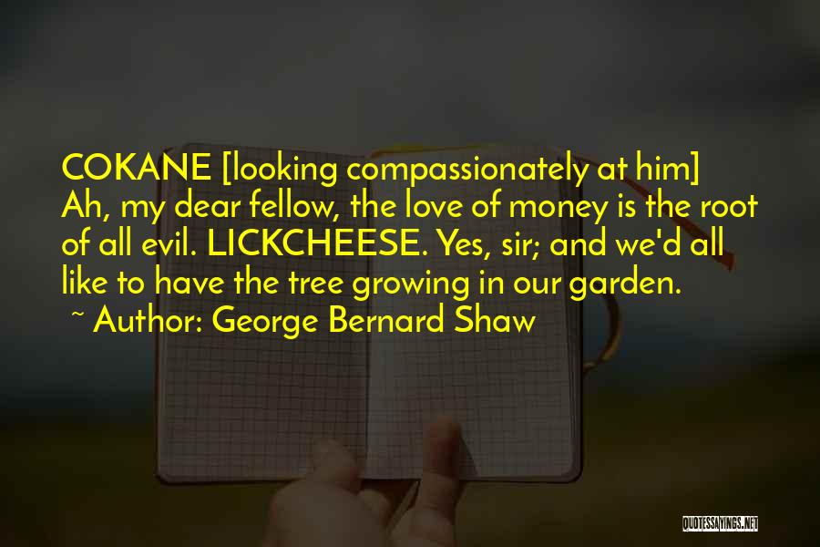 Love Growing Like A Tree Quotes By George Bernard Shaw