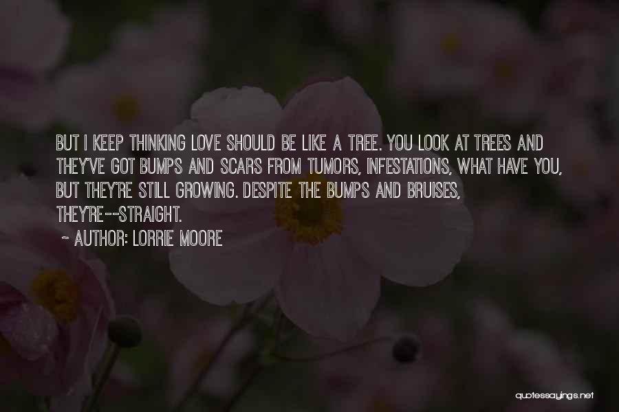 Love Growing Like A Tree Quotes By Lorrie Moore