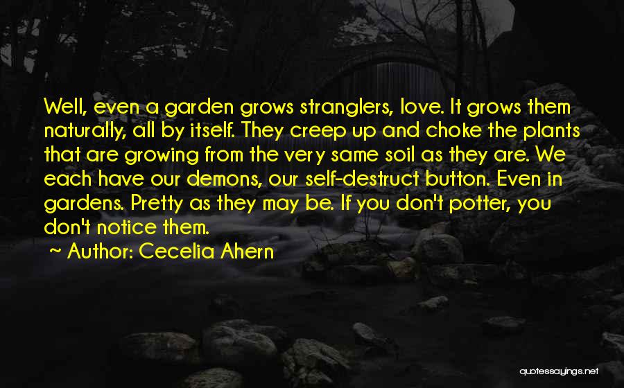 Love Grows Garden Quotes By Cecelia Ahern