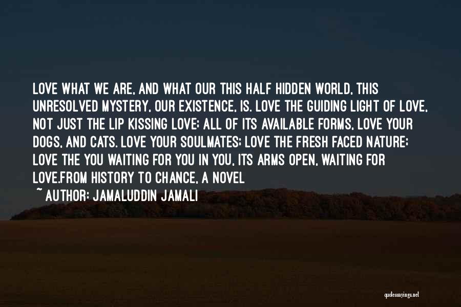 Love Guiding Quotes By Jamaluddin Jamali