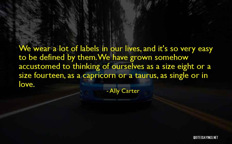 Love Has No Labels Quotes By Ally Carter