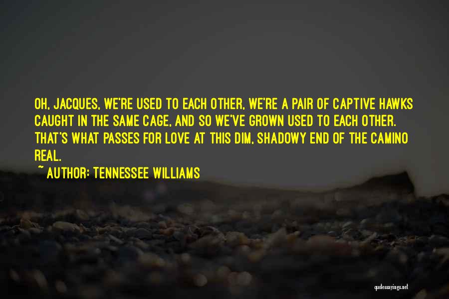 Love Hawks Quotes By Tennessee Williams