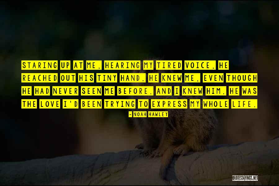 Love Hearing Your Voice Quotes By Noah Hawley Love Hearing Your Voice Quotes By Noah Hawley