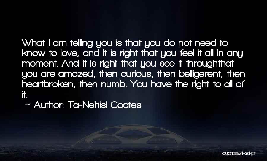 Love Heartbroken Quotes By Ta-Nehisi Coates