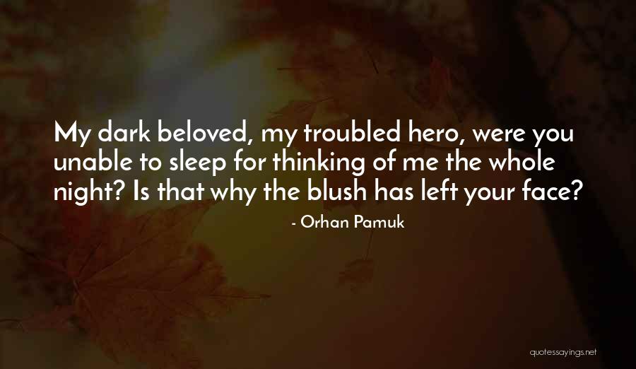 Love Hero Quotes By Orhan Pamuk