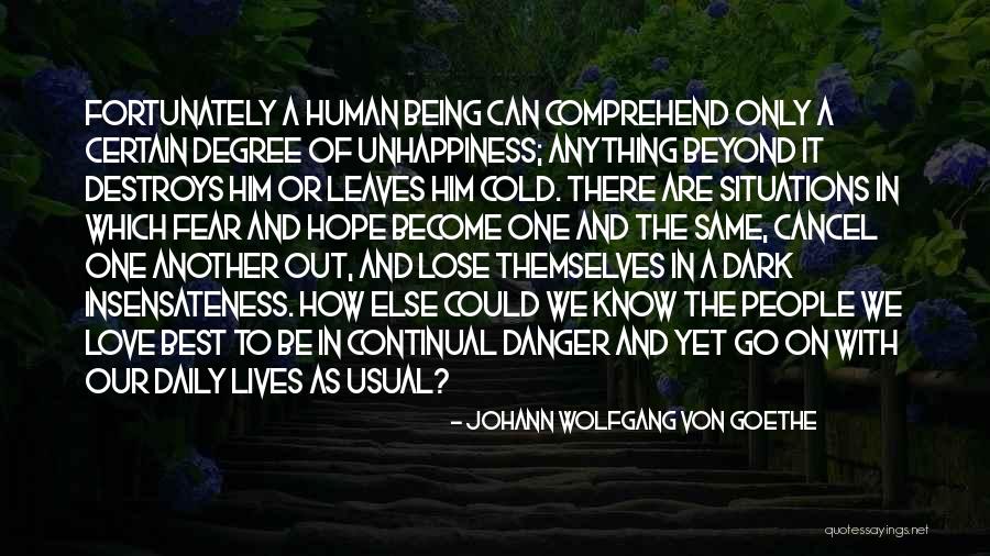 Love Human Being Quotes By Johann Wolfgang Von Goethe