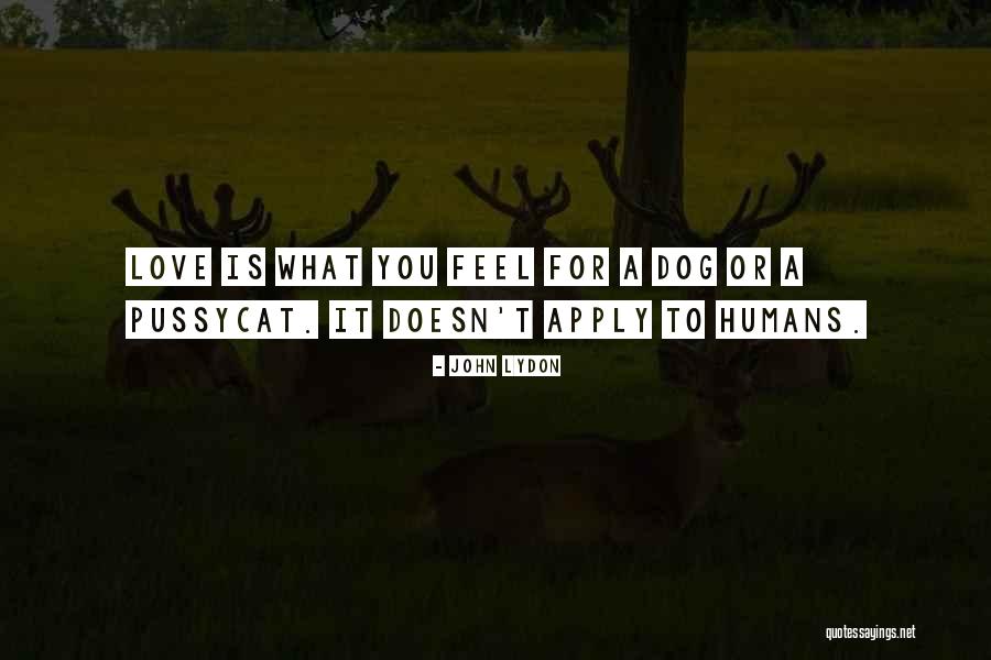 Love Humans Quotes By John Lydon