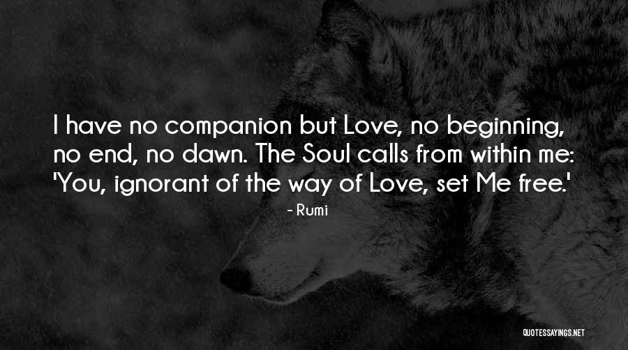 Love If You Love Something Set It Free Quotes By Rumi