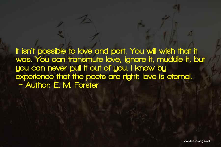 Love Ignore Quotes By E. M. Forster