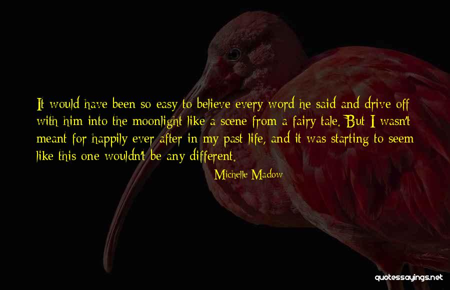 Love In A Past Life Quotes By Michelle Madow