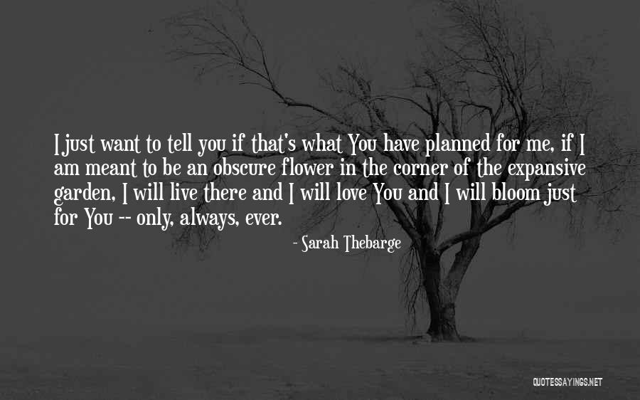 Love In Bloom Quotes By Sarah Thebarge Love In Bloom Quotes By Sarah Thebarge