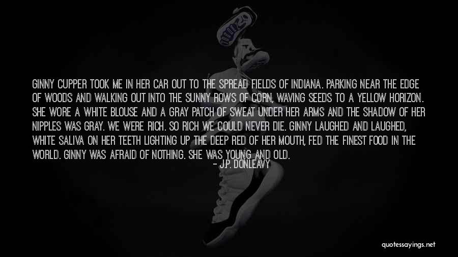 Love In Car Quotes By J.P. Donleavy Love In Car Quotes By J.P. Donleavy