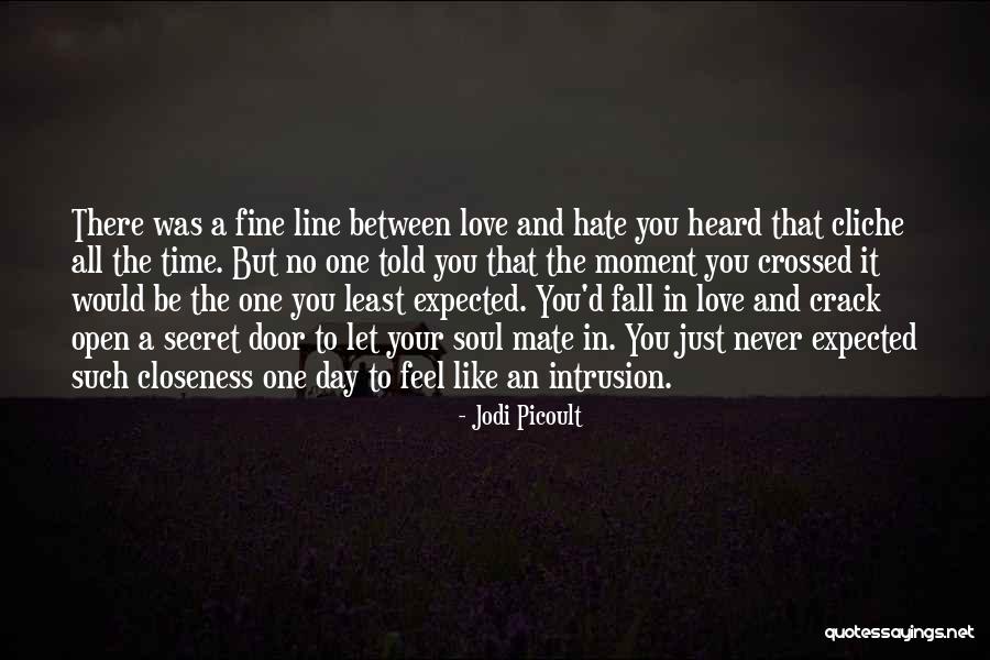 Love In One Line Quotes By Jodi Picoult