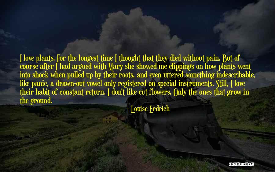Love In Return Quotes By Louise Erdrich Love In Return Quotes By Louise Erdrich